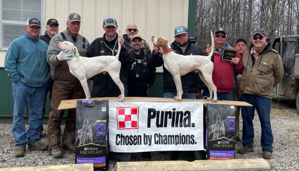 all america quail chs23