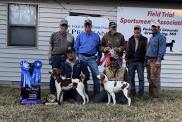 American Brittany Club Quail Championship