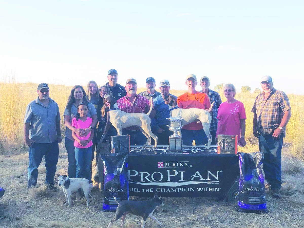 california-pheasant-ch