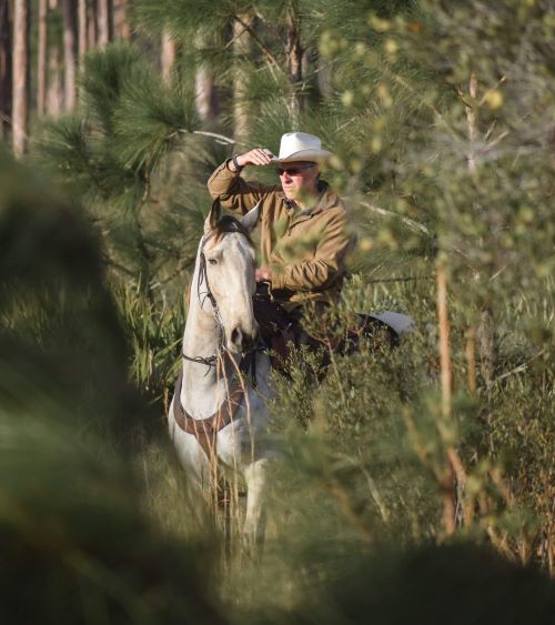 Everglades judge cantrell