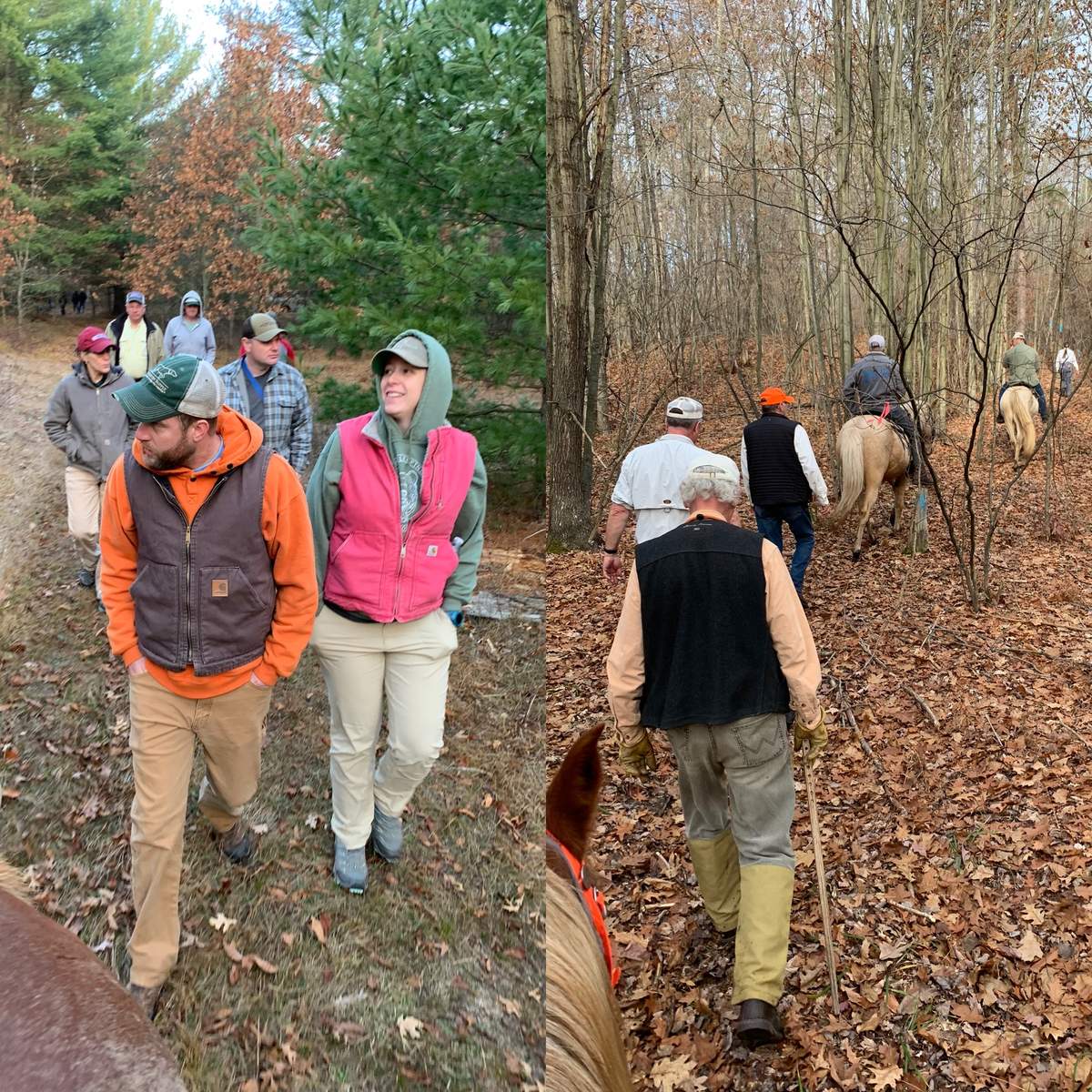 Grand National Grouse Championship 6