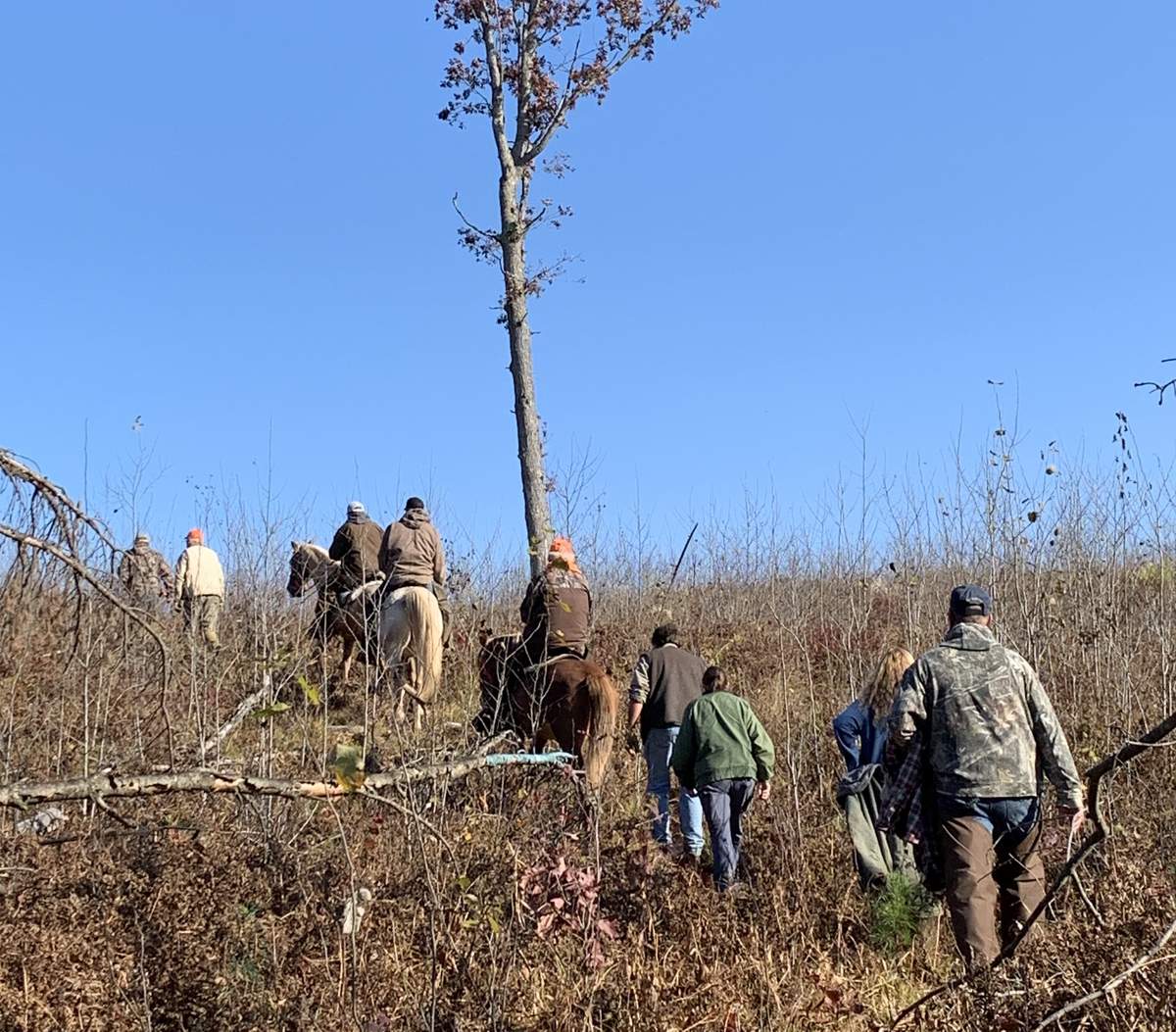 Lake States Grouse Dog Championship 4