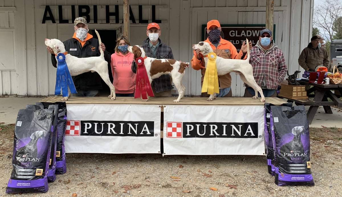 Lake States Grouse Dog Championship 6