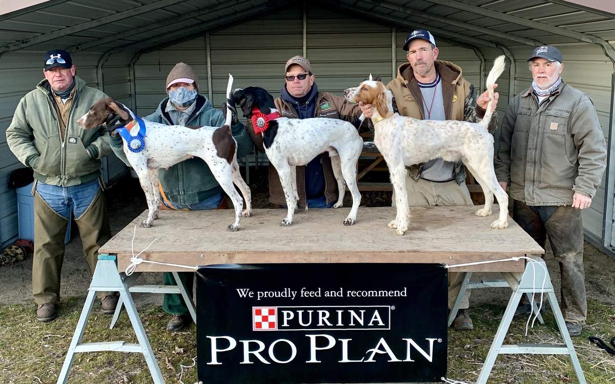 Shooting Dog Winners