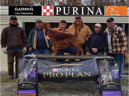 Natl RS Open WalkingSDF22