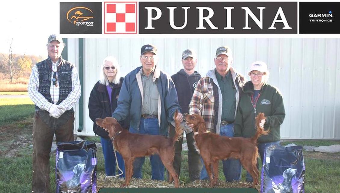 National Red Setter Championship 2