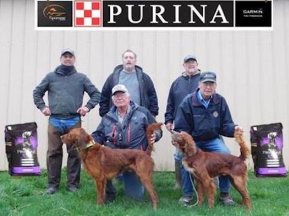 Amateur Shooting Dog Championship Winners