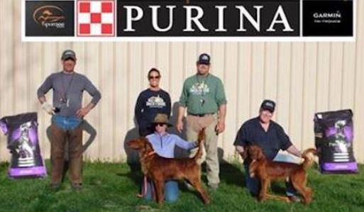 Jack Carter Amateur Walking Shooting Dog Winners