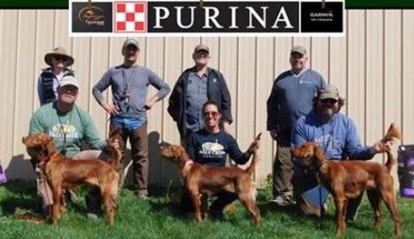 Open Horseback Puppy Winners