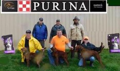 Open Walking Puppy Winners