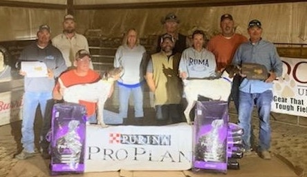NGSPA Sandhill Greater Prairie Chicken Championship 2