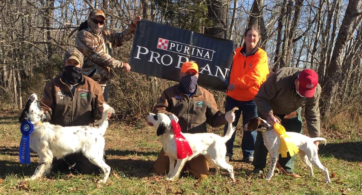 Powhatan Amateur Puppy