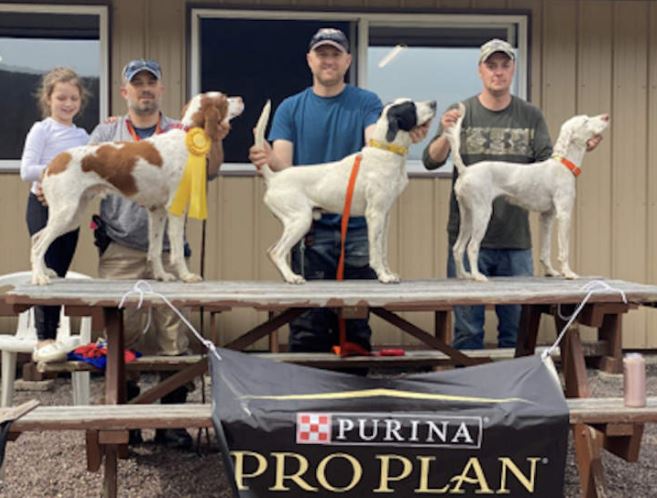 Amateur Walking Shooting Dog Winners