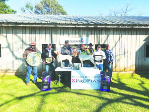 southeastern quail-2019