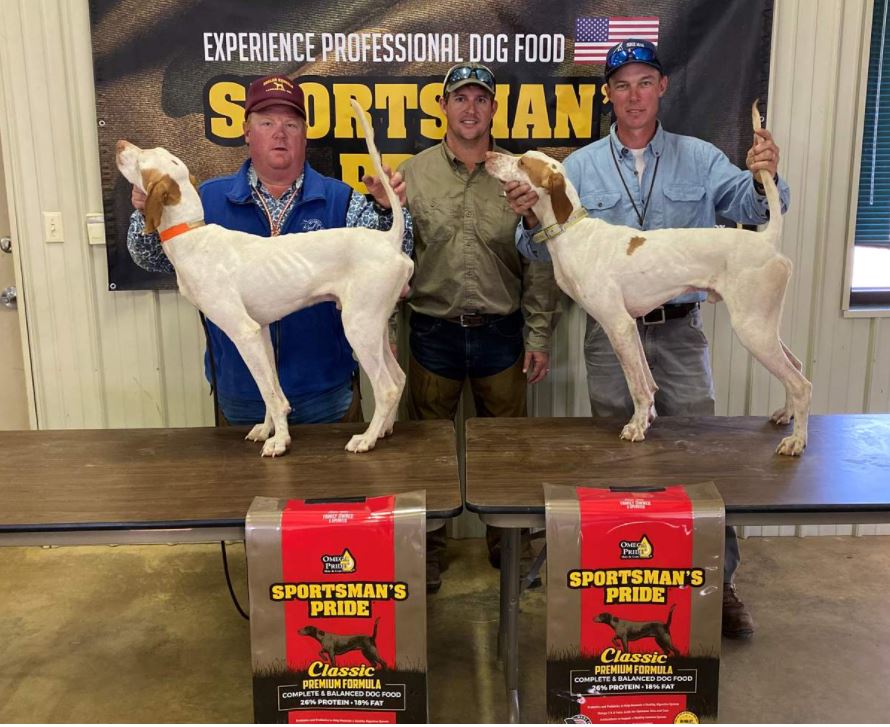 Sunflower Open All Age Classic and Derby