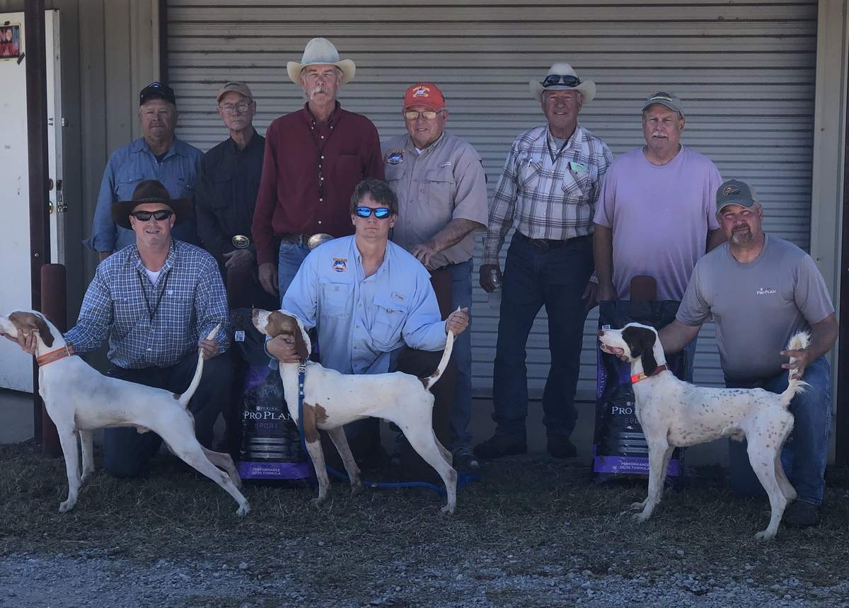 Texas Open Shooting Dog Championship 2