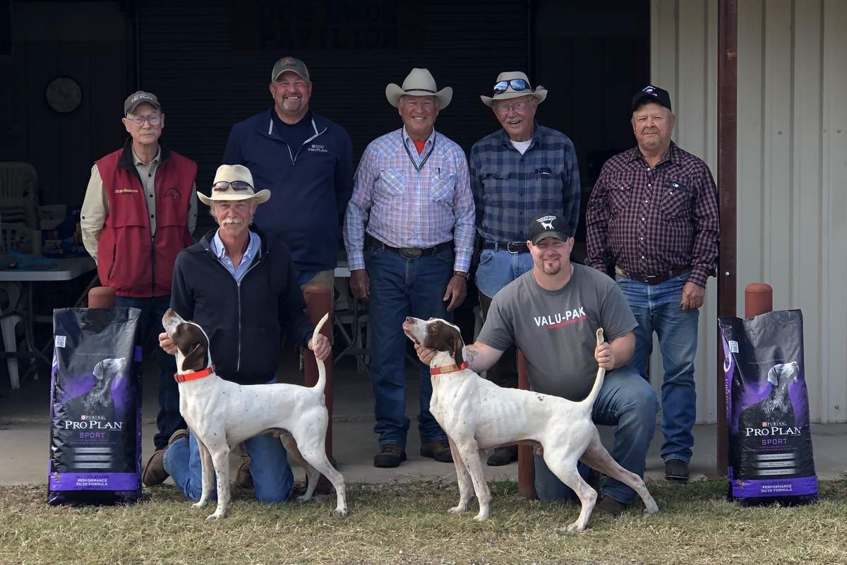 Texas Open Shooting Dog Championship