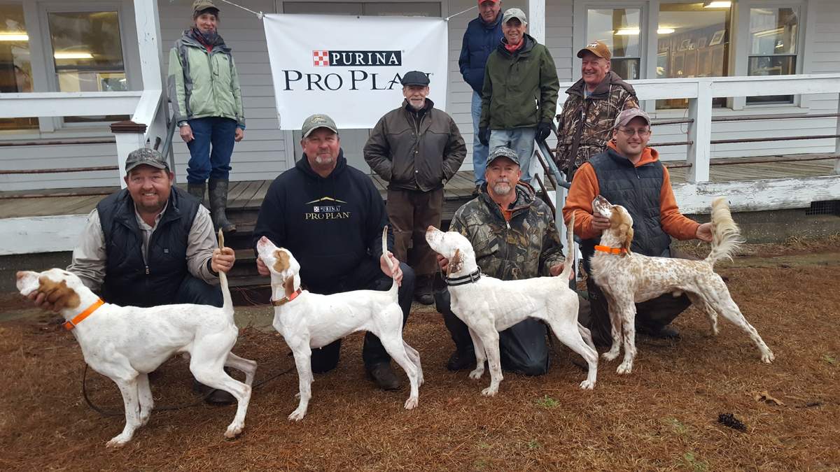 US Quail SD Futurity Winners